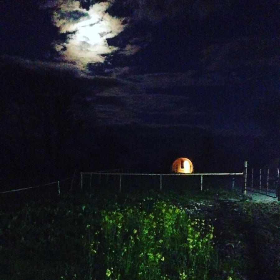 Carrigeen Glamping Kilkenny Dış mekan fotoğraf